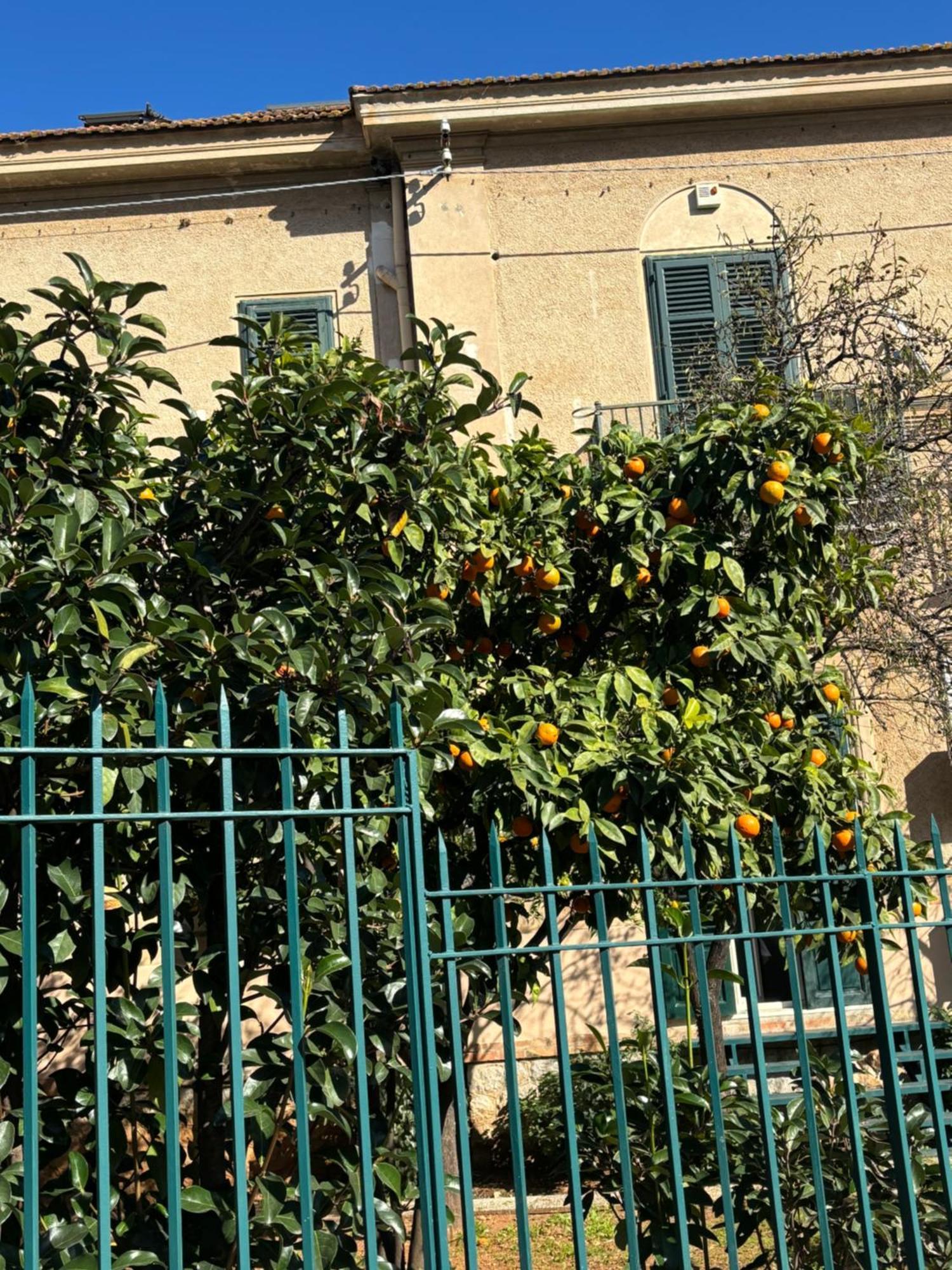 Ferienwohnung Matteotti Living And Garden Palermo Exterior foto